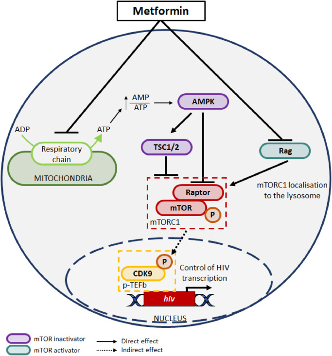 Fig 8: