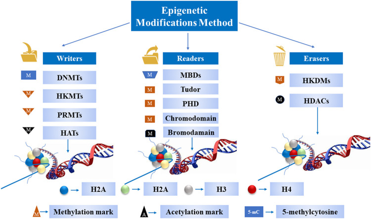 FIGURE 2