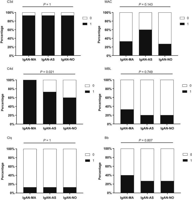 The Role of Complement in Microangiopathic Lesions of IgA Nephropathy - PMC