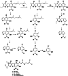 Scheme 3