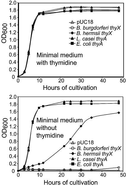 FIG. 5.