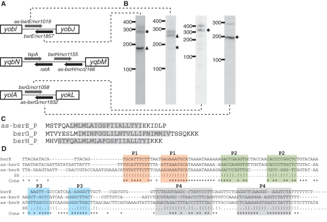 Figure 6.