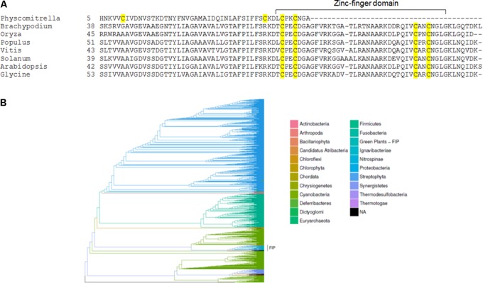 FIGURE 3