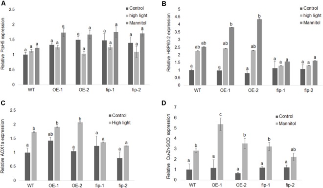 FIGURE 6