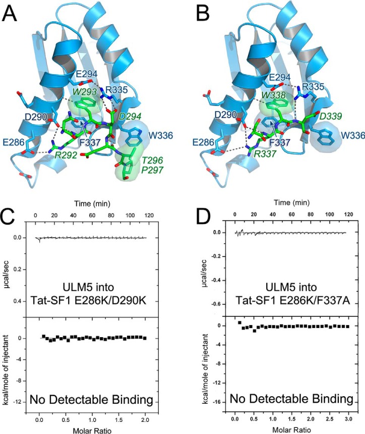 Figure 6.