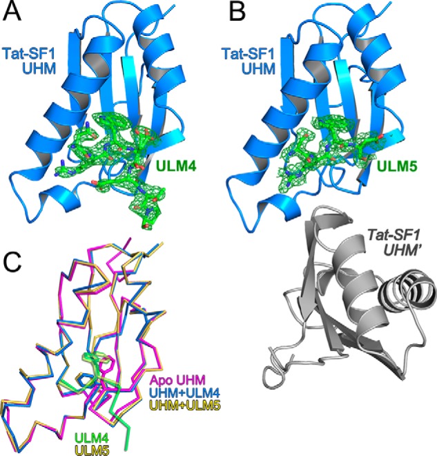 Figure 5.