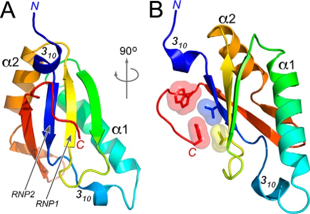 Figure 2.