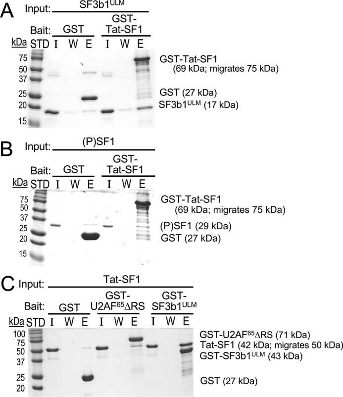 Figure 3.