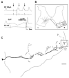 Fig. 9