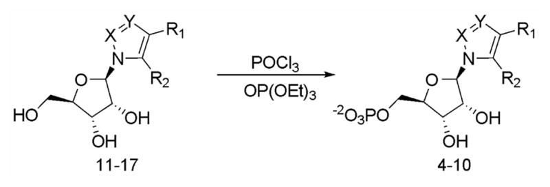 Scheme I