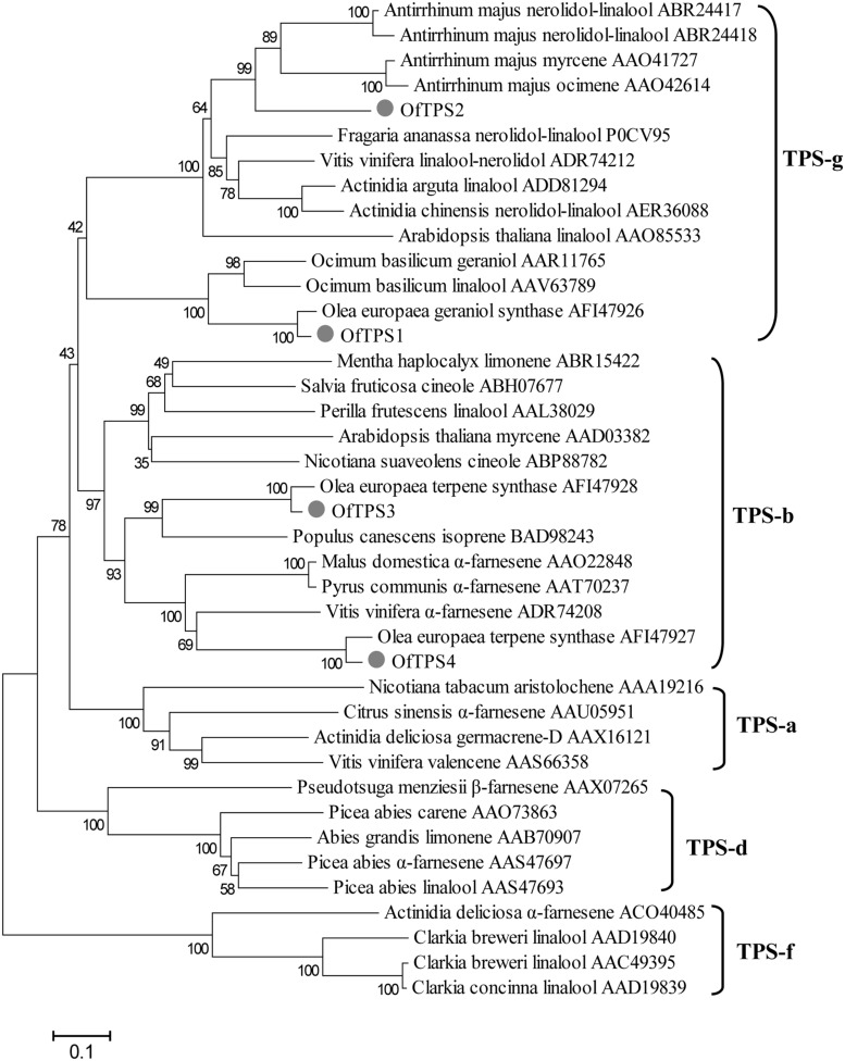 FIGURE 6