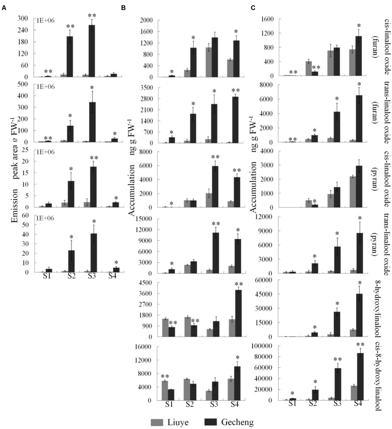 FIGURE 3