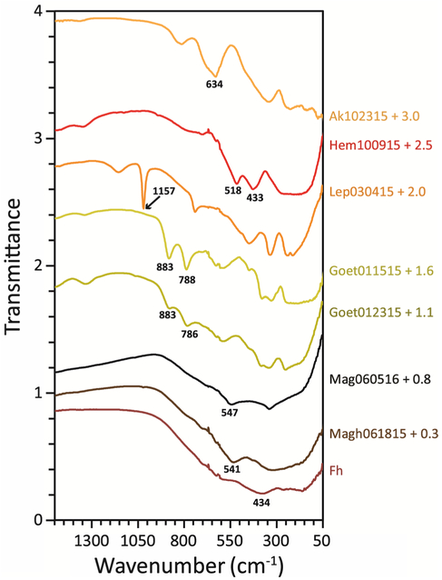 Fig. 5