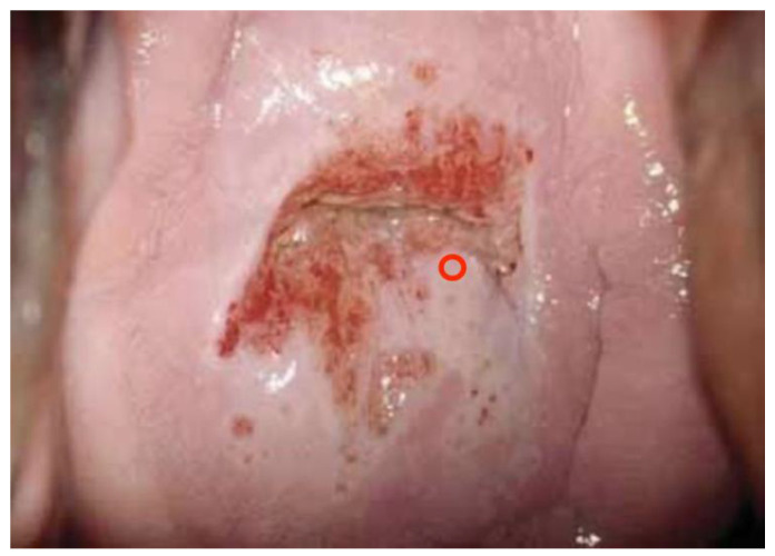 Figure 6