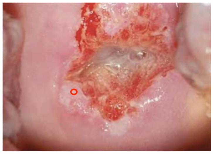 Figure 4