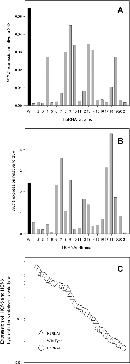 FIG. 2.