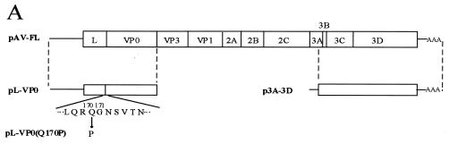 Figure 1a