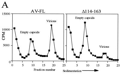 Figure 6a