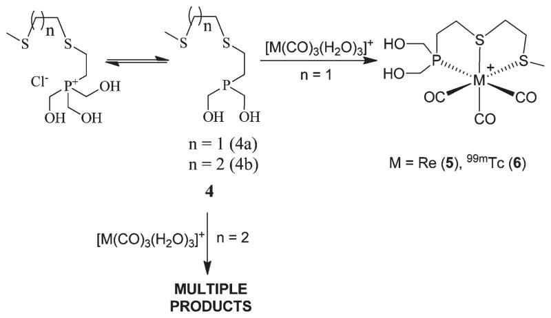 Scheme 2