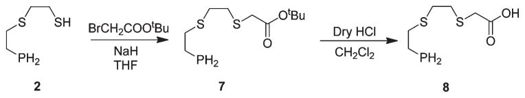 Scheme 3