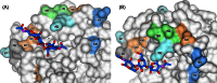 FIG 6