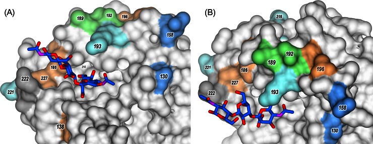 FIG 6