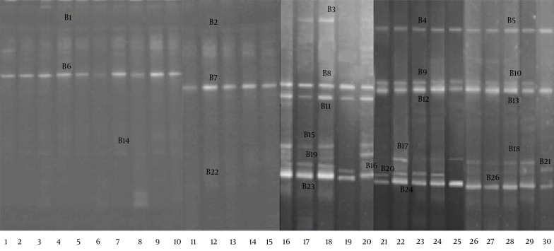 Figure 4.