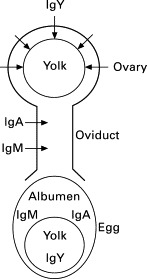 Fig. 17.1