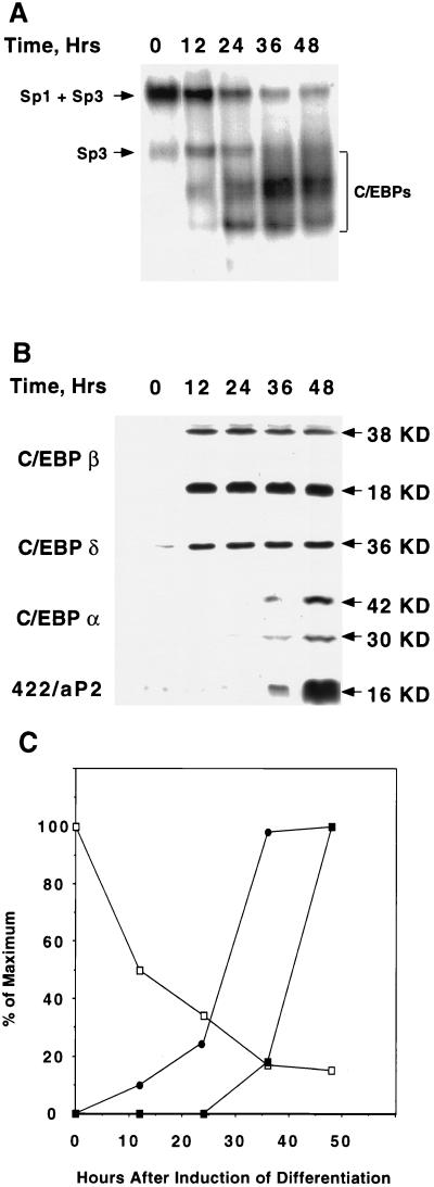 FIG. 9