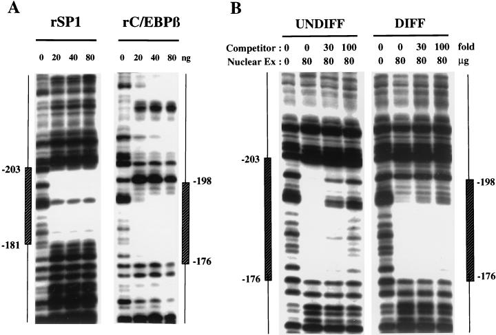 FIG. 5