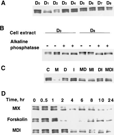 FIG. 8