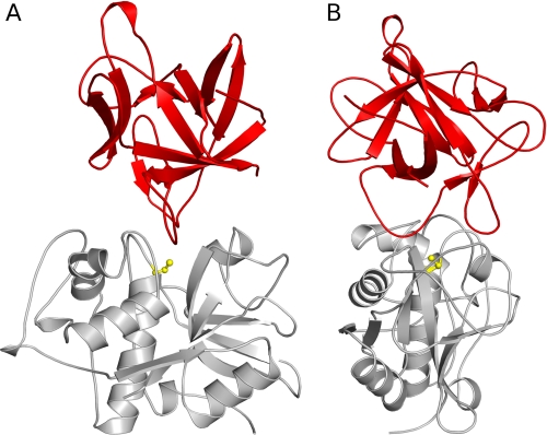 FIGURE 3.