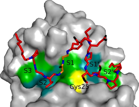 FIGURE 4.