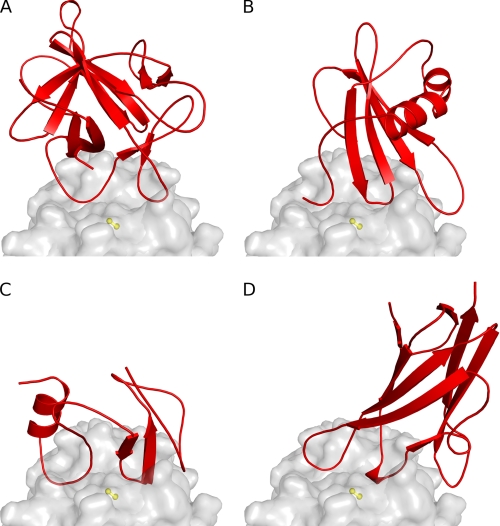 FIGURE 5.