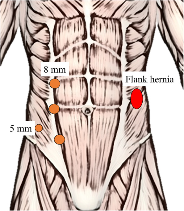 Fig. 1