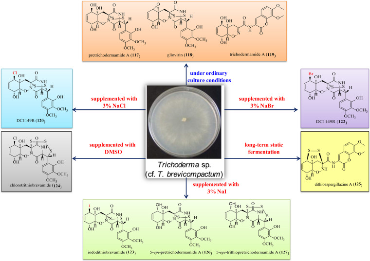 FIGURE 12