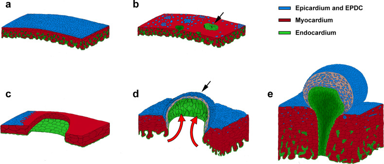 Fig. 6