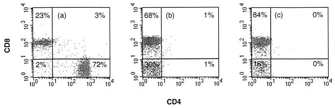 FIG. 8