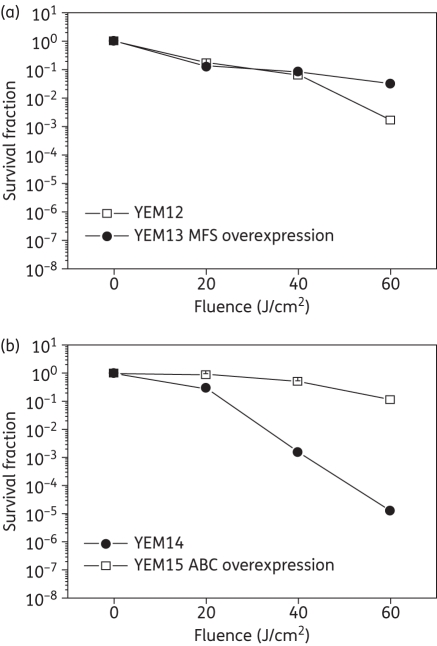 Figure 1.