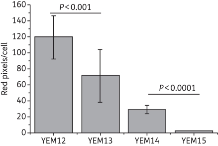 Figure 5.