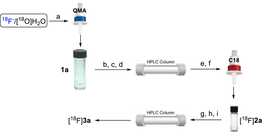 Scheme 3