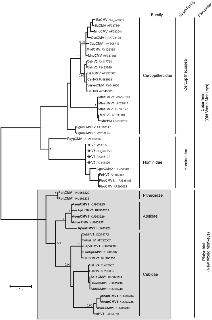 FIG 3