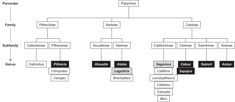 FIG 1