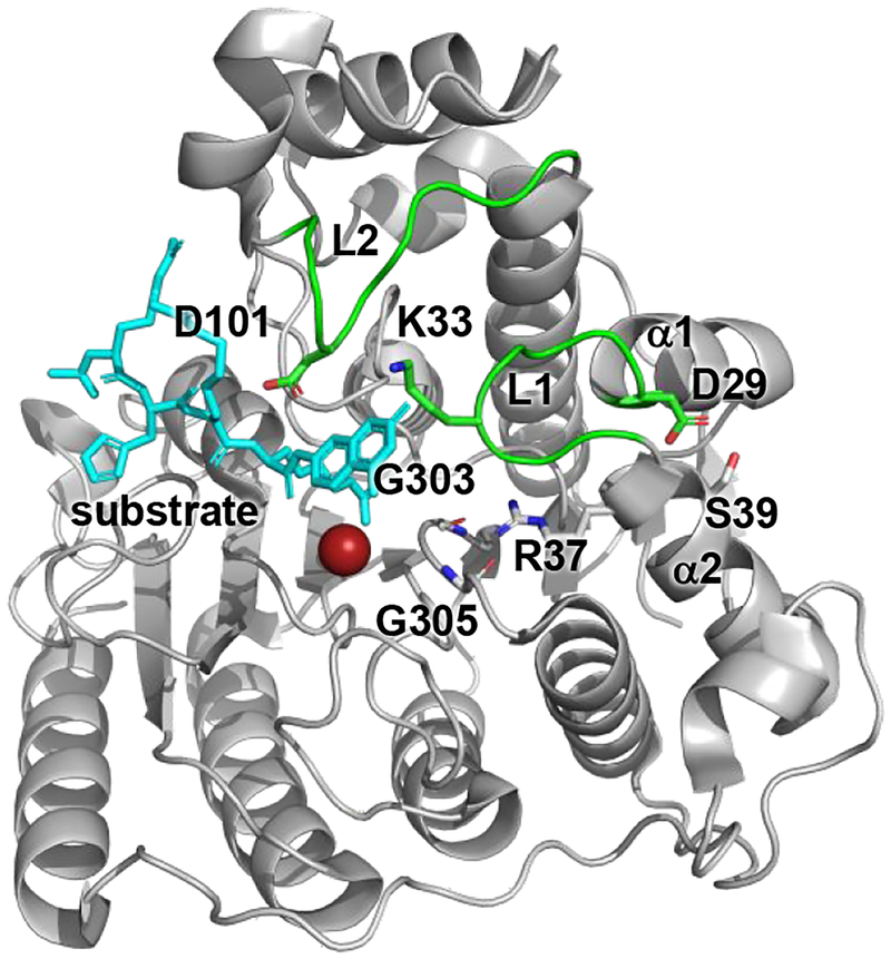 Figure 1.