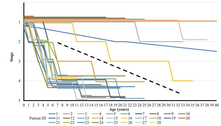 Fig. 2