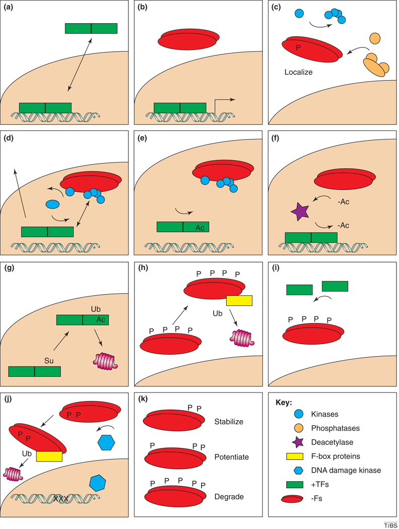 Figure 2[SC1]