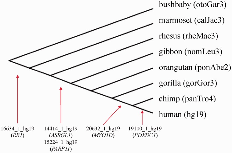 Fig. 3.—