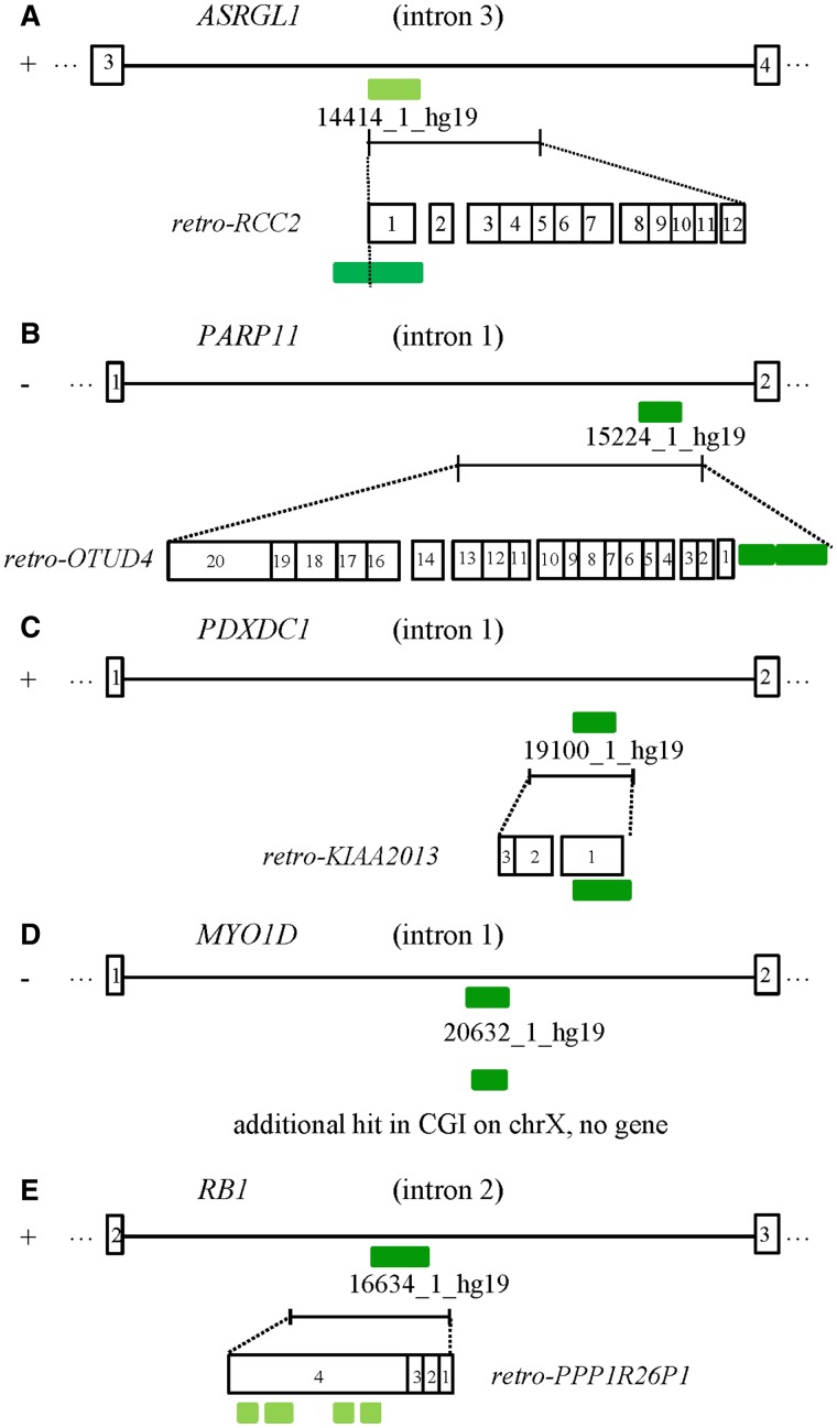 Fig. 4.—