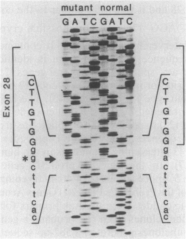 graphic file with name pnas00293-0319-a.jpg