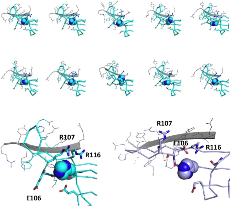 Figure 4—figure supplement 1.